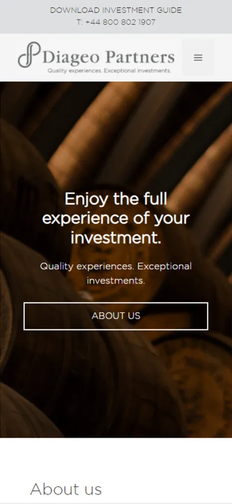 Diageo Partners